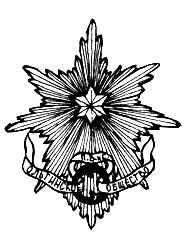 Знак Ольгинского общества, одного из многочисленных патриотических и благотворительных обществ начала XX в.